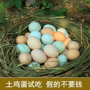 农家散养土鸡蛋10枚新鲜现捡试吃湖北农场直供农村柴鸡蛋土鸡蛋