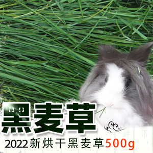2023黑麦草新草干草 烘干黑麦箱装兔子草 龙猫 豚鼠 陆龟牧草500g