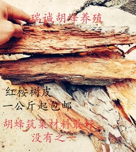 现货50元1公斤胡蜂筑巢材料红桉树皮杉树皮朽木一公斤起包邮