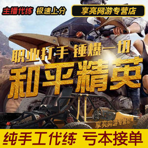 和平精英代练刺激战场代打排位陪练双四排位上分吃鸡手游