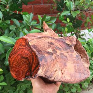 缅甸藤香木降香藤花梨藤蜘蛛纹手串佛珠料媲美海南越南黄花梨木料