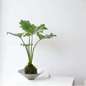 新中式简约金属银色花盆 现代客厅花器摆件 苔藓球绿植搭配神器
