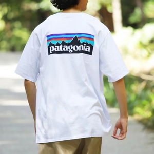 现货Patagonia P-6 巴塔哥尼亚 男女款经典山峰短袖T恤 23ss