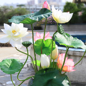 仿真荷花荷叶莲花睡莲莲蓬干花 佛堂供佛荷花水池装饰塑料花植物