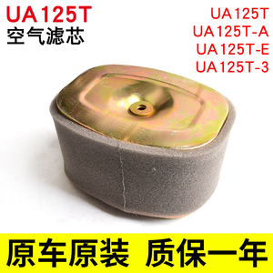 踏板车新海王星UA125T-A天龙星T-3红宝UM125T-C/A空气滤芯滤清器