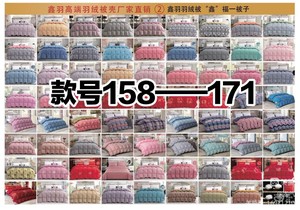 2023新款鑫羽款号158——171，全棉高密防钻绒自充绒羽绒被被壳。