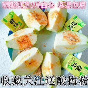 3斤芭乐送酸梅粉广西特产果园现摘现发新鲜水果番石榴清脆甜包