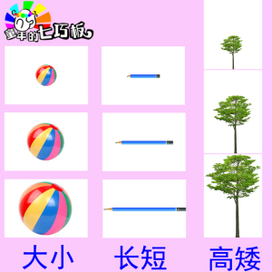 自闭症训练/语言发育障碍 大小高矮长短粗细多少 比较/排序卡片