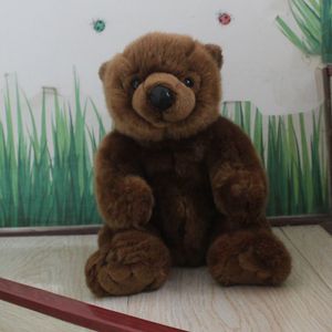可爱小棕熊公仔 熊玩偶毛绒玩具抱抱熊布娃娃送女友生日礼物25cm