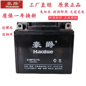 豪爵骊爽摩托车电瓶