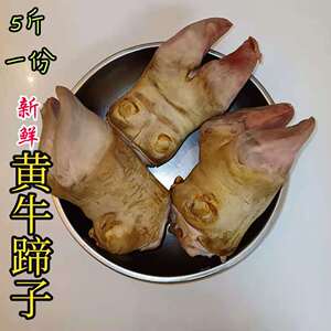 新鲜牛蹄贵州散养黄牛蹄子现杀生鲜牛脚蹄五斤装包邮