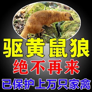 养鸡黄鼠狼驱赶神器捕捉器克星超声波专治养殖场吓黄鼠狼药克星