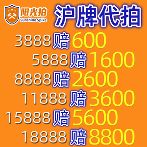 上海牌照带拍沪牌代拍 上海牌拍牌 拍车牌牌照 个人专业汽车沪a