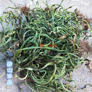 贵州瓦韦 七星草 中草药材小叶骨牌草 七星剑 晒干 250g包邮