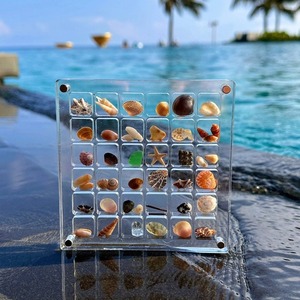贝壳收纳盒亚克力正方形透明海边微型石头标本展示迷你饰品收纳框