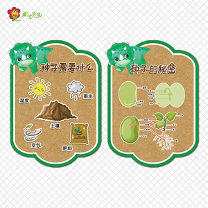幼儿园植物角主题环创墙布置种子花结构动物青蛙生长过程记录贴画