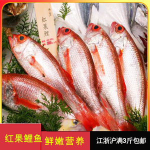 红果鲤鲜活速冻舟山深海水产新鲜海鱼喉黑鱼刺身海鲜赤鲑鱼5-7两