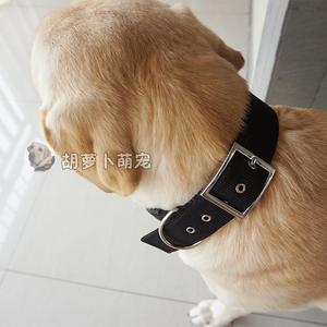 宠物脖圈拉布拉多金毛德牧项圈狗圈颈圈中型犬大型犬加厚脖套包邮