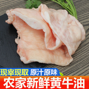 生牛油 新鲜牛板油500g当天现杀网油火锅调料熬油烧烤穿串鲜牛油