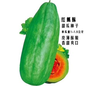 红瓤酥瓜薄皮甜瓜种子香瓜种籽四季高产牛角青皮红壤酥甜瓜羊角瓜