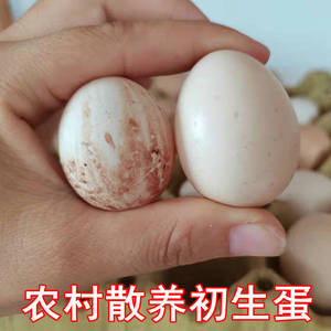 清远阳山本地鸡无添加初生蛋农家土鸡蛋30枚