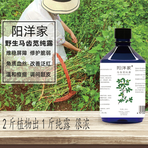高浓野生马齿苋纯露500ml 痘痘肌修护屏障脆弱泛红受损血丝激素脸