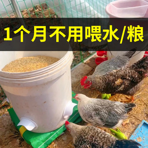 家禽喂食器小鸡饲料养鸡食槽鹌鹑鸽子自动喂食神器喂鸡自动下料器