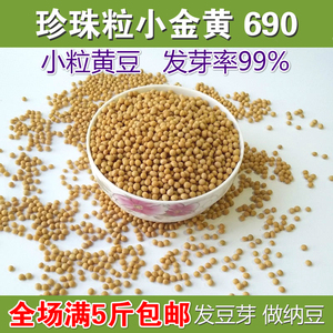 小黄豆500g农家自种小粒黄豆珍珠粒小黄豆发豆芽做纳豆小金黄包邮