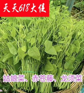 广西赤苍藤|龙须菜i姑娘菜|牛耳藤l勾华辣木苗其他野菜(新鲜嫩摘