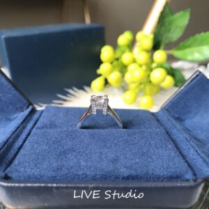 【经典招牌】hw logo钻戒婚戒 经典钻戒  仿真钻一克拉 hw型戒托