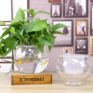 玻璃花瓶水培植物桌面绿萝花盆懒人器皿鱼缸圆球透明花瓶自动吸水