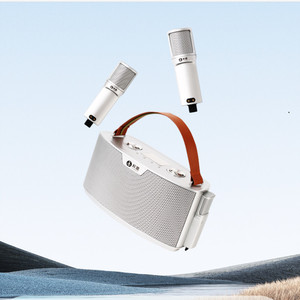 权盟双吸音响麦克风专业家用户外手提无线蓝牙手机全民k歌神器