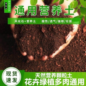 多肉兰花金弹子专用颗粒土酸性营养土壤天然风化石养花种菜通用型