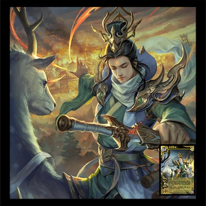 三国皮肤 自印卡 实体卡 神陆逊 全幅卡