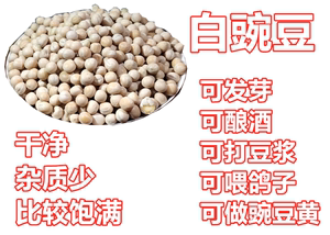 豌豆 白豌豆 2023新货干生豌豆农家豌豆可酿酒发芽喂鸽子饲料20斤