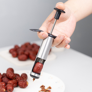 加点乐304不锈钢红枣去核器去大枣核 家用红枣去核工具取枣核神器
