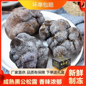 云南新鲜姬松茸