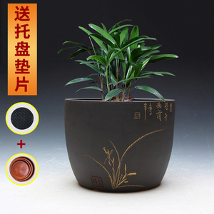 精品粗陶紫砂兰花盆多肉文竹盆景君子兰专用小花盆中国风促销包邮