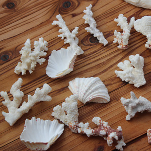 天然海螺贝壳珊瑚鱼缸造景家居水族馆装饰品微景观地中海布置摆设