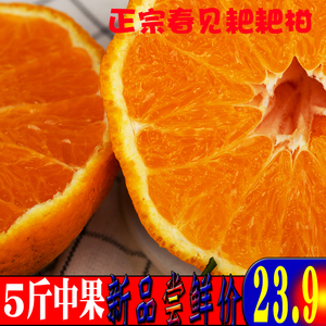 正宗四川浦江春见耙耙柑啪啪甘丑橘特级杷杷柑粑粑柑爬爬柑葩葩柑