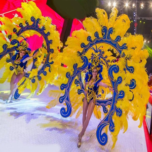 大气开场鸵鸟羽毛背板桑巴服装巴西狂欢节红磨坊演出巡游表演服装