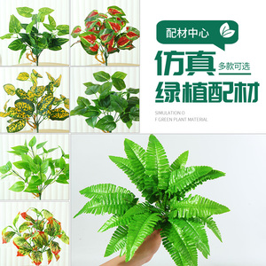 仿真绿植墙装饰花草塑料小绿植波斯绿萝仿真叶植物背景墙配件专用