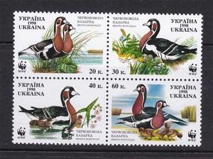 乌克兰邮票 1998年WWF水鸟.野鸭 四方连 新