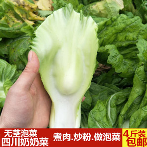 四川包包泡青菜新奶奶菜青菜时令蔬菜泡菜原料瘤子芥菜梗产地直销