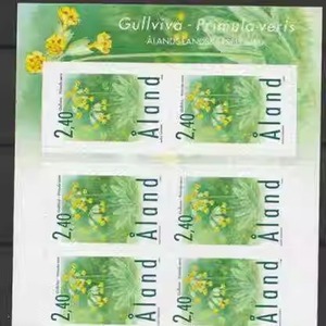 奥兰1999年邮票 黄花九轮草不干胶邮票 小版张1全新