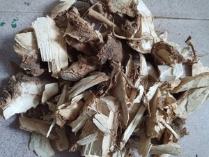 生和堂草药野生木芙蓉根,芙蓉树根,小桐子根500克包邮