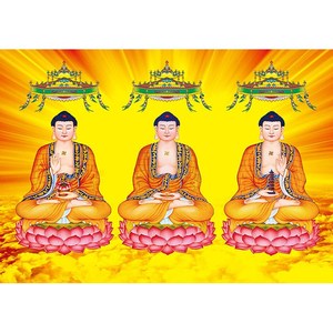 开光横三世佛画像三宝佛佛像挂画高清三方佛释迦牟尼药师阿弥陀佛