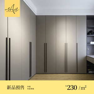 溪岸衣帽间定制现代简约平开门衣柜定做衣帽间主卧轻奢衣柜定制