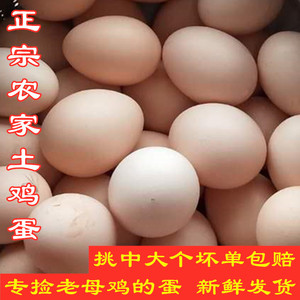 新鲜农家土鸡蛋草鸡蛋柴鸡粮食蛋重庆散养老母鸡云英蛋孕妇儿童