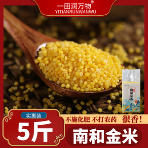 邢台南和金米黄小米粥小黄米新米5斤农家新小米杂粮食用糯宝宝米